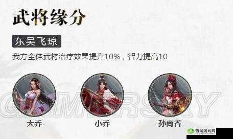 鸿图之下大乔攻略:大乔阵营玩法剖析