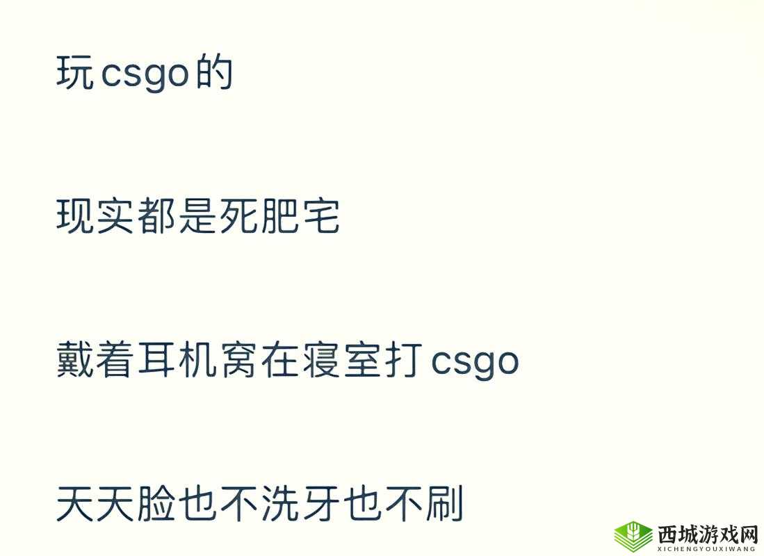 暴躁老阿姨CSGO 剧情解析：深度揭秘游戏背后的故事