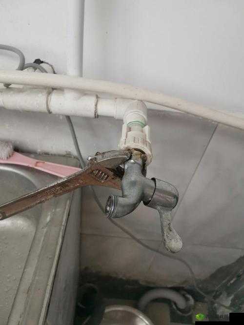 工本口子库水龙头:优质品质保障用水体验