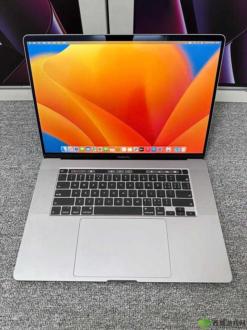 19 岁 MACBOOKPRO 高清：年轻的科技之光