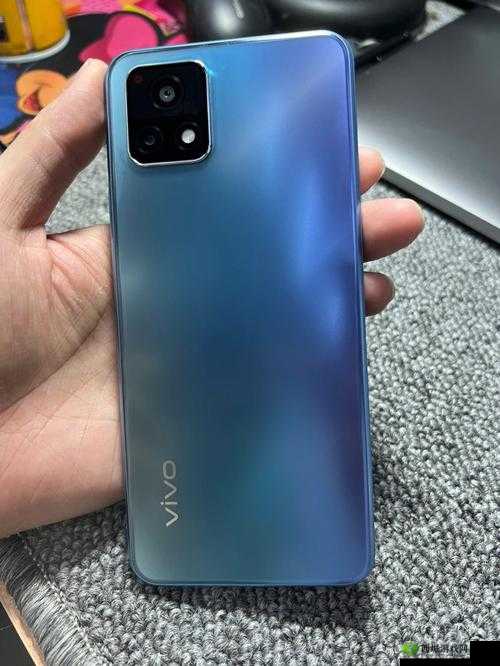 濂芥垚鑹茬殑 y31s：这是什么意思呢