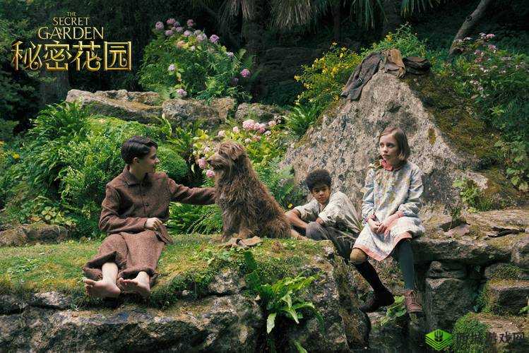秘密花园 base.apk 安装包:探索未知的奇幻世界
