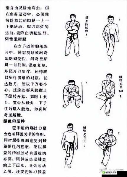 空冥拳之武林秘技：秘籍揭秘与威力详解