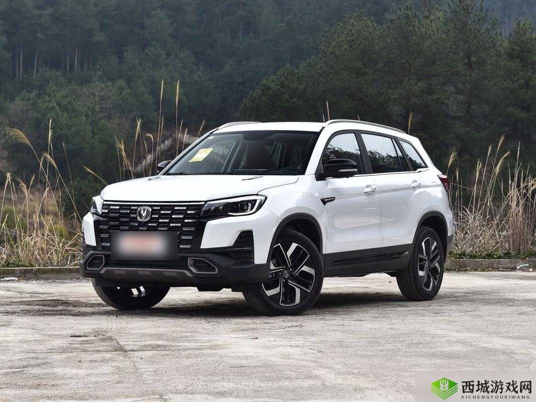 国产又美又漂亮的 SUV:颜值与实力并存