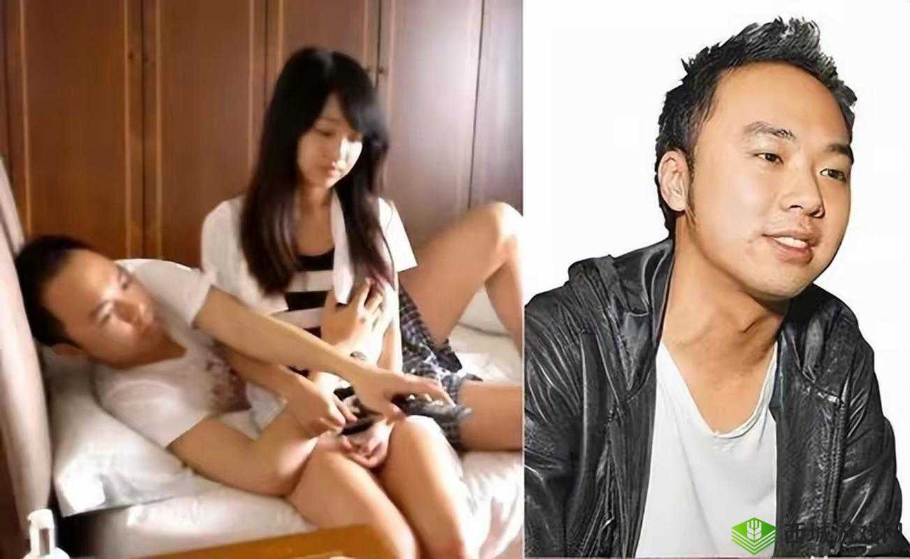 91 李宗瑞苦瓜网:震惊娱乐圈的私密视频事件