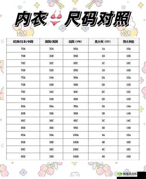 精品欧洲一码二码区别在哪：详细解读