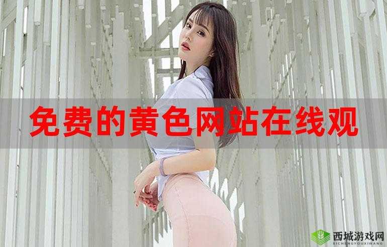 最新黄色网站在线观看：畅享精彩刺激内容
