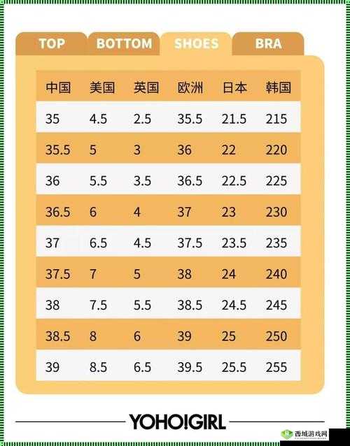 欧洲尺码日本尺码专 MBA 智库:深度解析与对比