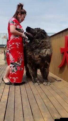 AA 毛片人与兽:探索未知的世界