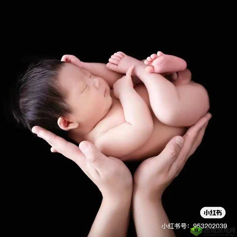 共享双胞胎齐娜齐琳:奇妙的生命体验