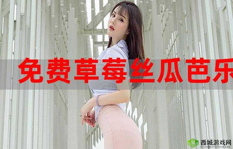 豆奶富二代榴莲草莓丝瓜:美味与营养的完美结合