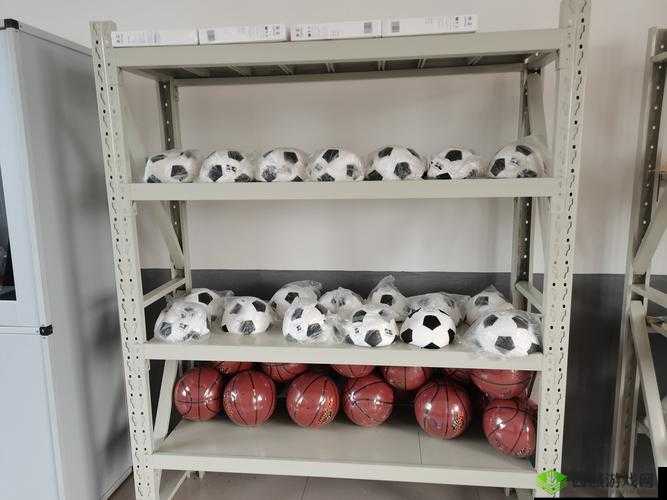下课后体育器材室下种:探索器材的归处