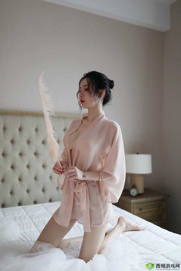 欧美激情无码乱妇在线内衣:极致感官体验