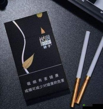 格调娇子黑色多少钱一包:市场价格探讨