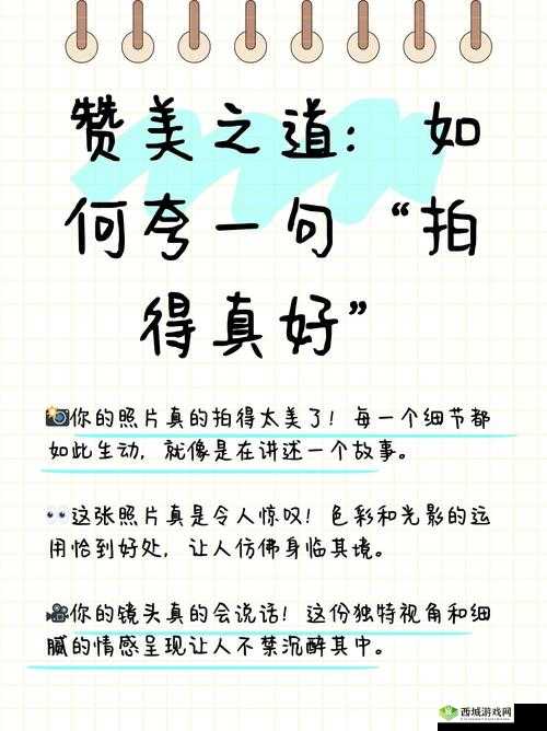 12 娇小摘花 HD:追求完整性的独特视角
