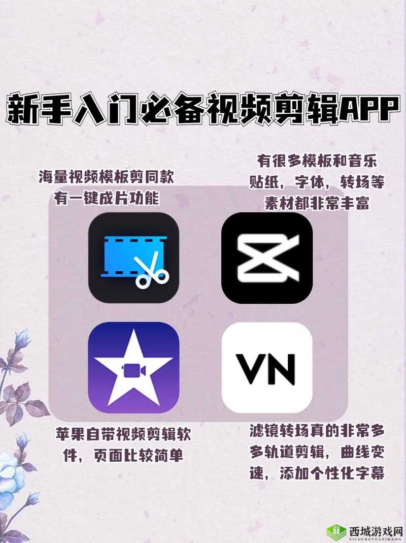免费的成品短视频app推荐：实用软件大集合