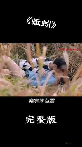 4399 国语看片免费观看大全：精彩影片不断