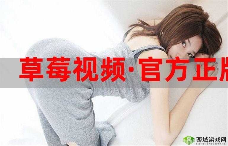 草莓视频深:精彩内容等你发现