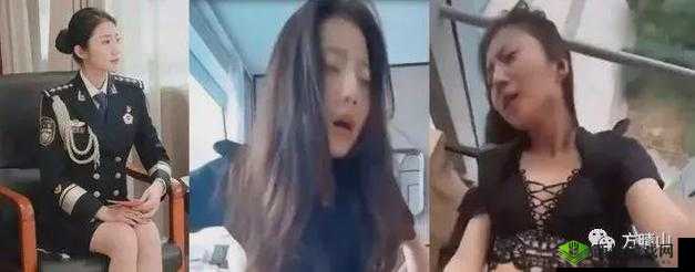 张津渝和吕知樾三部曲:美丽的背后是怎样的真相