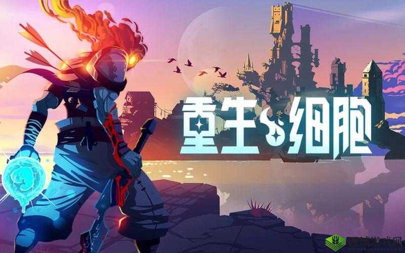 重生细胞,探索与挑战的奇妙之旅