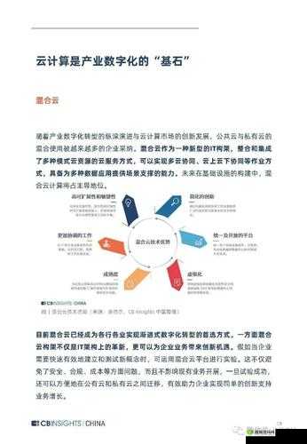 Vue 成熟 40 岁:探索中年阶段的技术发展与未来走向