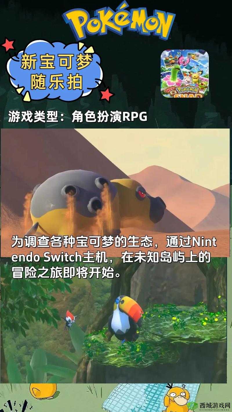 宝可梦大探险,团团石的获取与应用全解析