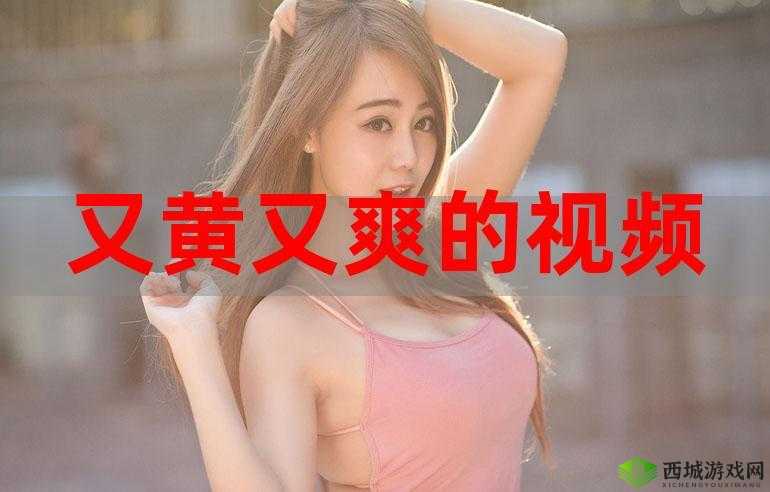 国产又色又爽又免费的刺激软件，带你体验全新视觉盛宴