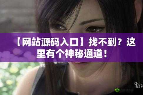 成品网站源码 1288 隐藏通道:背后的神秘世界