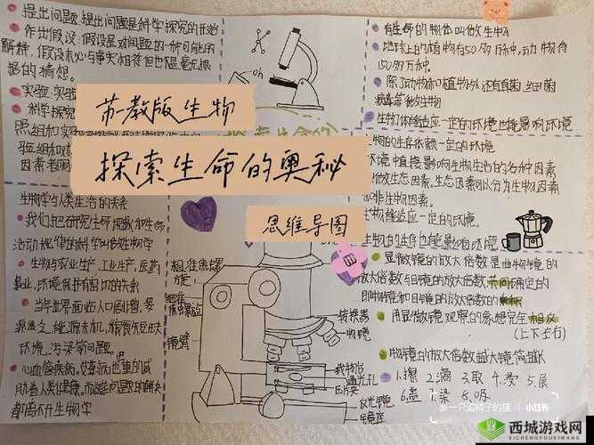 探索体内精汇编 6:科学解读生命奥秘