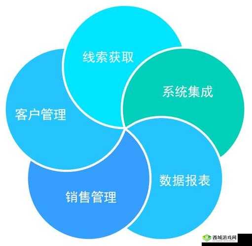 国内永久免费 SaaS CRM:开启高效客户管理新时代