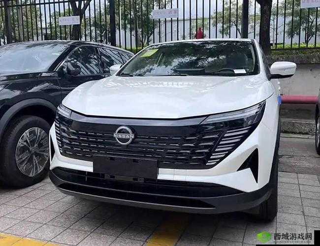日产区一线二线三 AV:成人影片的魅力与多样性