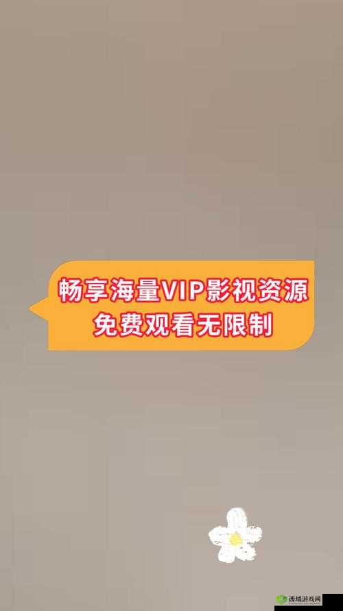 在线观看一区:海量精彩影视资源等你来畅享