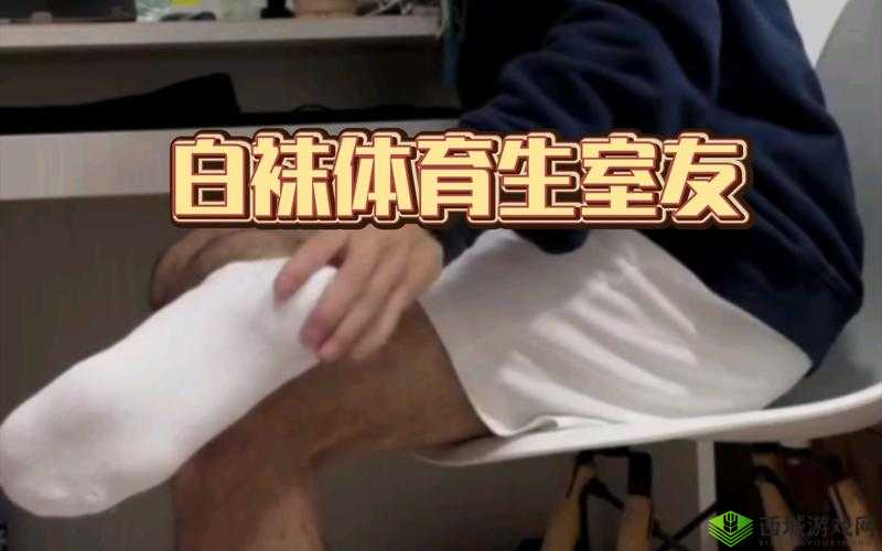 我是 1 但我的室友全是体育生:别样的寝室生活体验