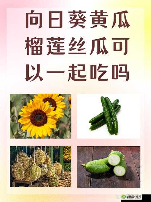 向日葵黄瓜榴莲丝瓜可以一起吃吗:饮食搭配的疑惑解析