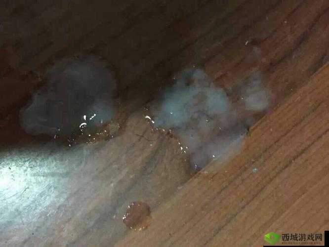 下面流了好多透明液体怎么回事:探究其背后的原因
