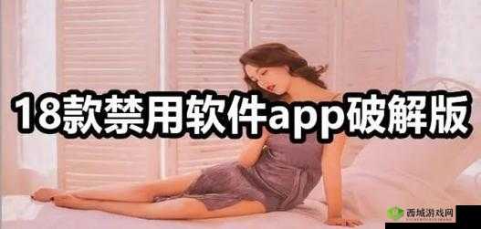 100 款禁用免费软件 APP 下载:畅享丰富资源