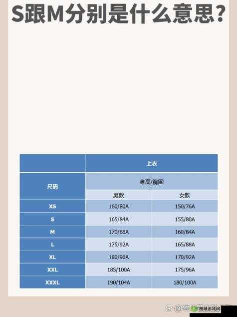 欧亚专线 S 码和 M 码的区别图片:详细尺码差异解析
