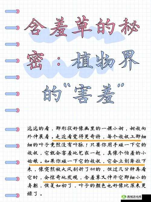 含羞草文化传媒最新版:内容丰富、功能强大,带给你不一样的视觉体验