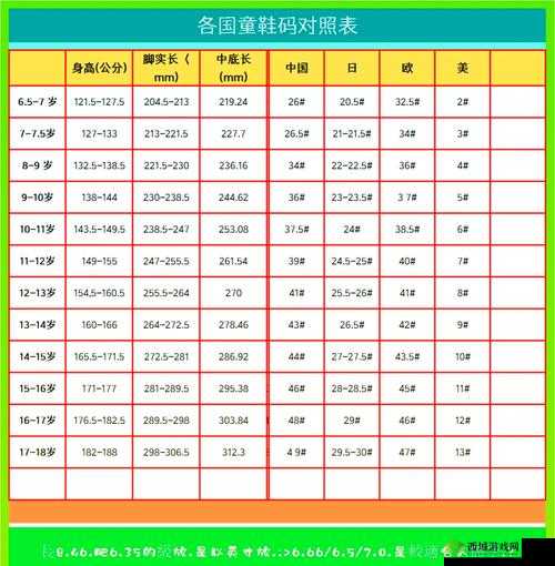三叶草 M 码与欧洲码的详细区别解析:尺码标准大不同