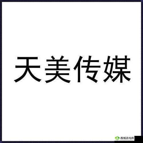 天美传媒有限公司宣传片亮点:创新内容呈现与独特艺术风格