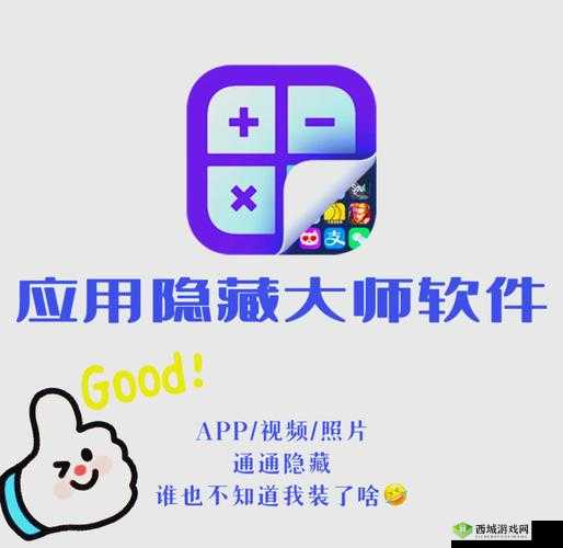 大菠萝官方官网隐藏入口:探寻其背后的秘密与真相