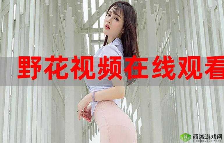 野花社区日本韩国免费观看：在线欣赏多国影视作品的好去处