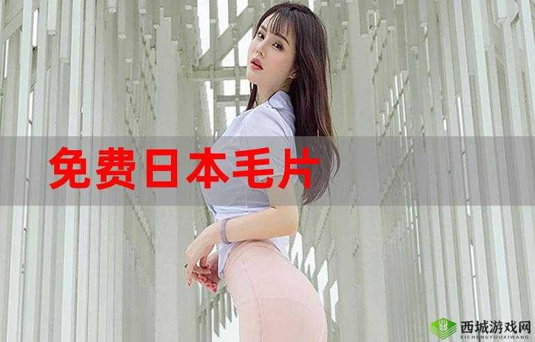 黄色应用免费下载:畅享便捷下载通道无需付费