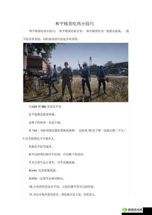 绝地求生，刺激战场中的策略与技巧——深度解析与心得分享