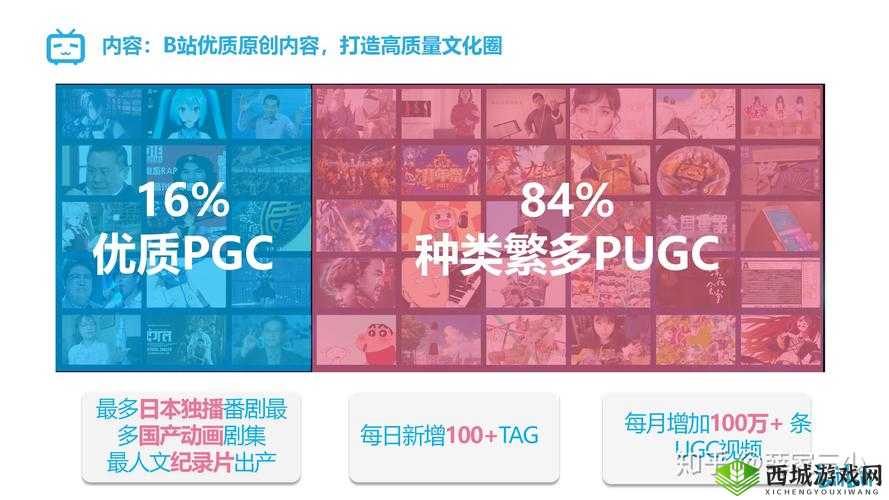 B站哔哩哔哩:精彩视频汇聚地等你来探索