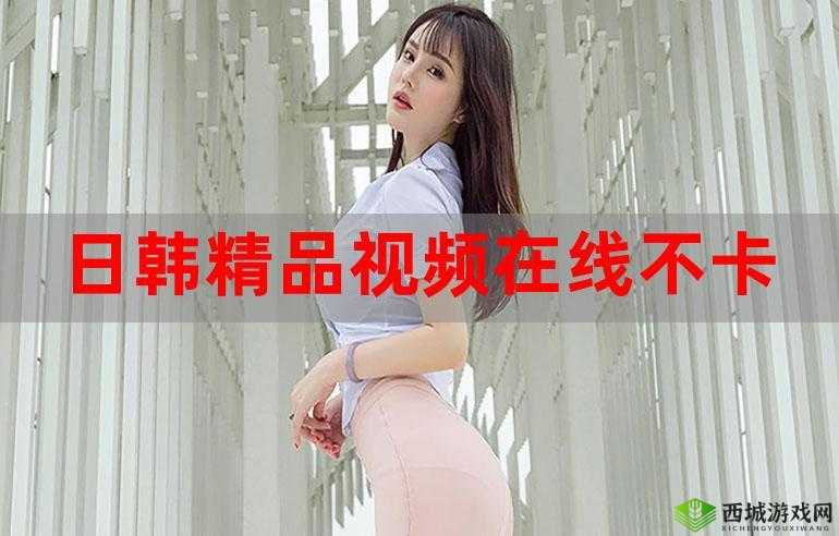 日韩产品和欧美产品的区别视频更新频繁:探究背后的原因