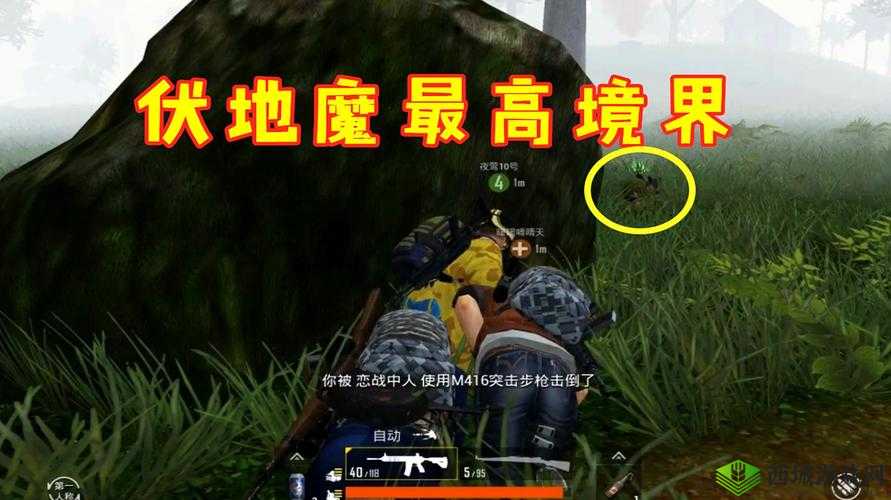 教你对付LYB，光荣使命中如何应对草丛伏地魔的策略解析