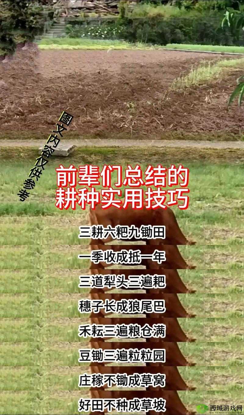 乱世王者农田分配秘籍,十田一统还是一田深耕?