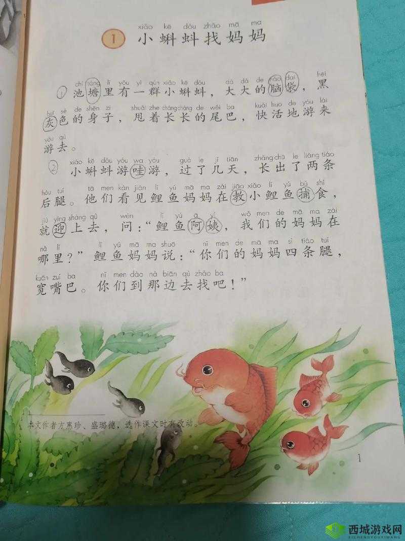蝌蚪窝:一个充满神秘与探索的奇妙世界等你发现