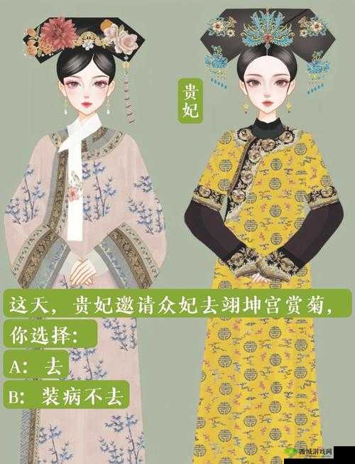 清宫无间斗，后宫培养与策略深度解析